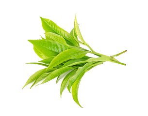 Tea leaf isolated on the white background