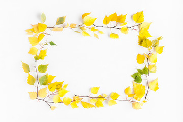 Autumn frame made of birch tree leaves on white background. Autumn, fall concept. Flat lay, top view, copy space