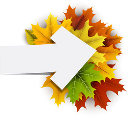 Naklejka na ściany i meble Autumn card with colorful leaves.