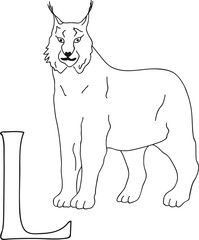 Vector hand drawn illustration capital letter L on alphabet card. Black and white realistic lynx isolated. Kids ABC, school education. Coloring page for children.