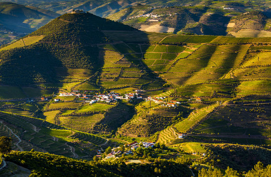 Portugal, Vila Real