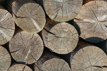 Naklejka premium Stacked firewoods (texture, background)