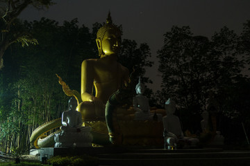 buddha by night