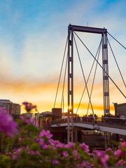 Sunset and flowers on a beautiful bridge