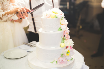 Bride and groom at wedding cutting the wedding cake