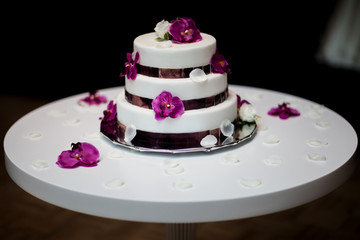 Cake Decorating Ideas And Professional Cake Decorating