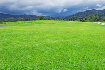 Hill in the garden.