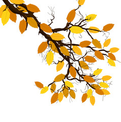 Fototapeta na wymiar Colored Leaves - Vector Branch