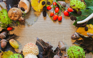 Autumn still life leaves, chestnut, mushroom, acorn, on wood background