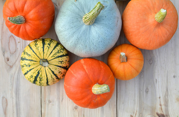 Autumn pumpkins on wooden background