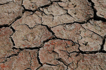 ひび割れた大地