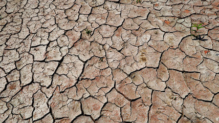 ひび割れた大地