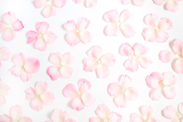 Obraz na płótnie Canvas Pink rose petals pattern on white background. Flat lay, top view. Valentine's background. Pattern of flowers.