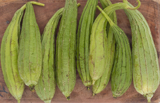 Turai