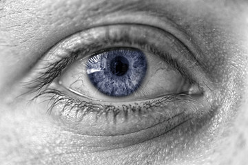 the human eye closeup. blue pupil
