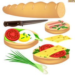 Bread. Sandwich. Sandwich with cheese, egg, bacon and tomato. Toasts. Sliced bread for the sandwiches. Lettuce, parsley, dill. Fast food, snacks.  Vector.