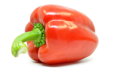 Single red pepper