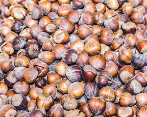 
hazelnut as a background