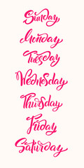 Fototapeta na wymiar Hand lettering Days of Week. Modern calligraphy.