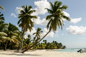 paradise caribbean islands