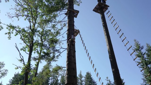A little girl climbing the tree in a rope adventure park