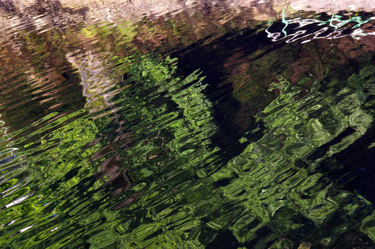 Reflets aquatiques