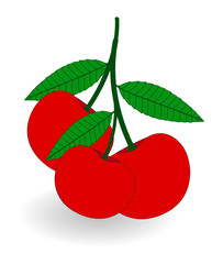 Red Cherry Bunch Vector