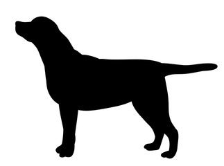vector, isolated silhouette dog