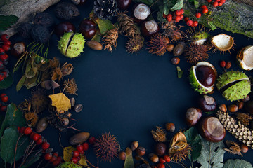 Thanksgiving dinner. Autumn fruit with copyspace in the middle. Thanksgiving autumn background