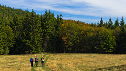 Hiking through meadows and colorfull forests of mount Bobija, west Serbia