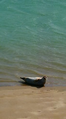 Le Portel - Côte d'Opale - France