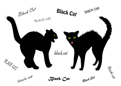 two evil cats bared teeth isolated on the white background, text BLACK CAT written in different fonts