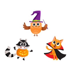  at, owl and raccoon animal characters in Halloween costumes, cartoon vector illustration isolated on white background. Cat, owl and raccoon animal characters celebrating Halloween