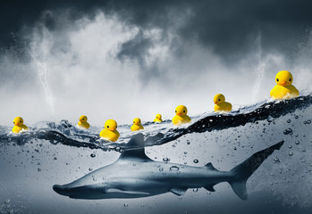 Concept requin et finance