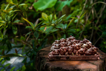 Handmade rustic piglet pottery for garden decoration.  Closeup of pig earthenware in garden.