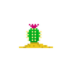 Pixel cactus for games and applications