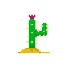 Obraz premium Pixel cactus for games and applications
