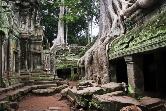 Cambodia, Siemreab, Angkor