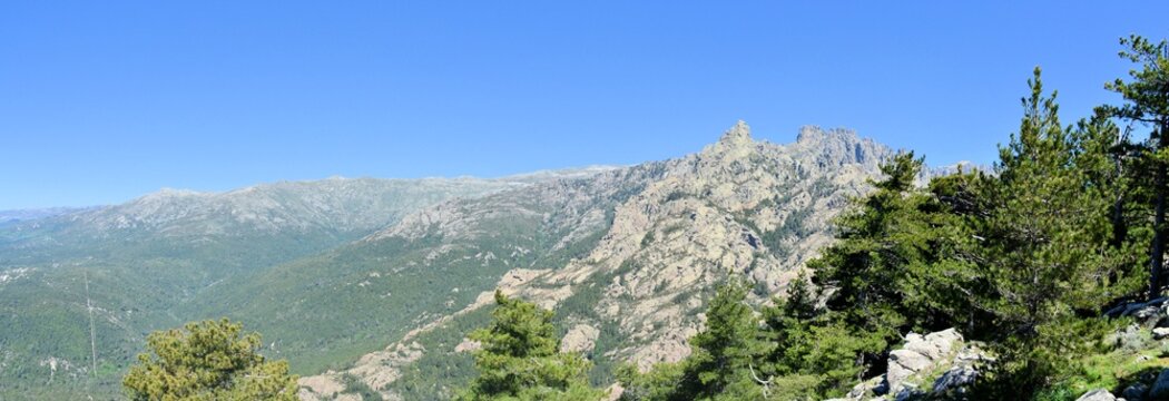 Zonza Bilder Durchsuchen 384 Archivfotos, und Videos