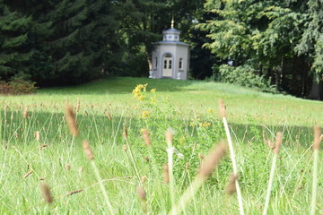 chapel in a field with trees