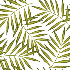 Seamless pattern of exotic palm trees. Green leaves on white background. Tropical leaf.