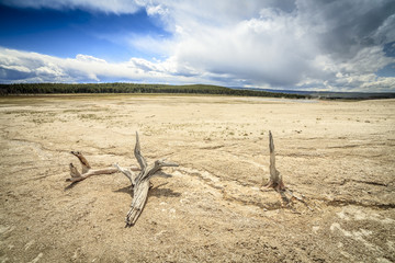 Fototapeta na wymiar Barren land in Yellowstone National Park, USA