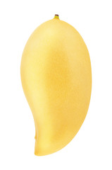 Yellow mango isolated on a white. Detailed retouch.