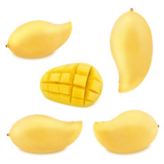 Set of yellow mangoes isolated on a white. As design elements.