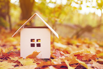 House from paper in bright yellow autumn leaves. Model of cardboard house. Concept of sale or purchase house