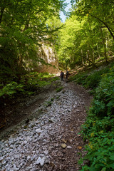 Hikers with backpacks on trail