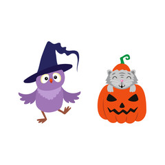 vector flat cartoon funny cute cat sitting at halloween scary pumpkin with gourd hat with stem on head, owl in witch hat set. Isolated illustration on a white background. Fancy animal concept