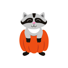vector flat cartoon funny cute raccoon wearing big pumpkin smiling. Isolated illustration on a white background. Fancy Halloween outfit for an animal concept