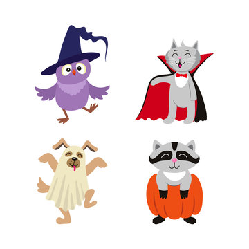 vector flat cartoon funny halloween animals - cat dressed up like vampire count Dracula, owl in witch hat , caroon in pumpkin and dog ghost in bedsheet set. Isolated illustration on a white background