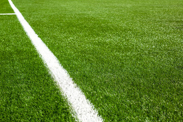 White line on a soccer field grass